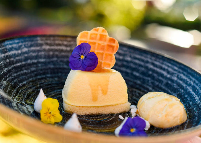 Epcot International Flower & Garden Festival Cheesecake