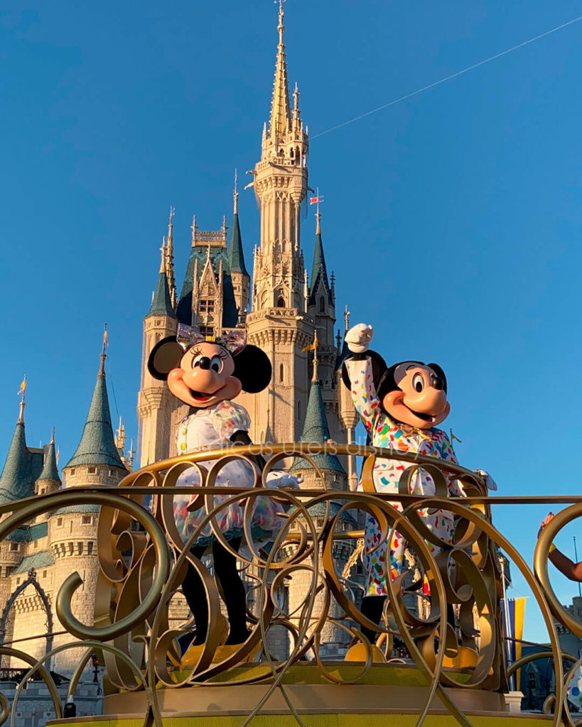 shows do Magic Kingdom move it shake it