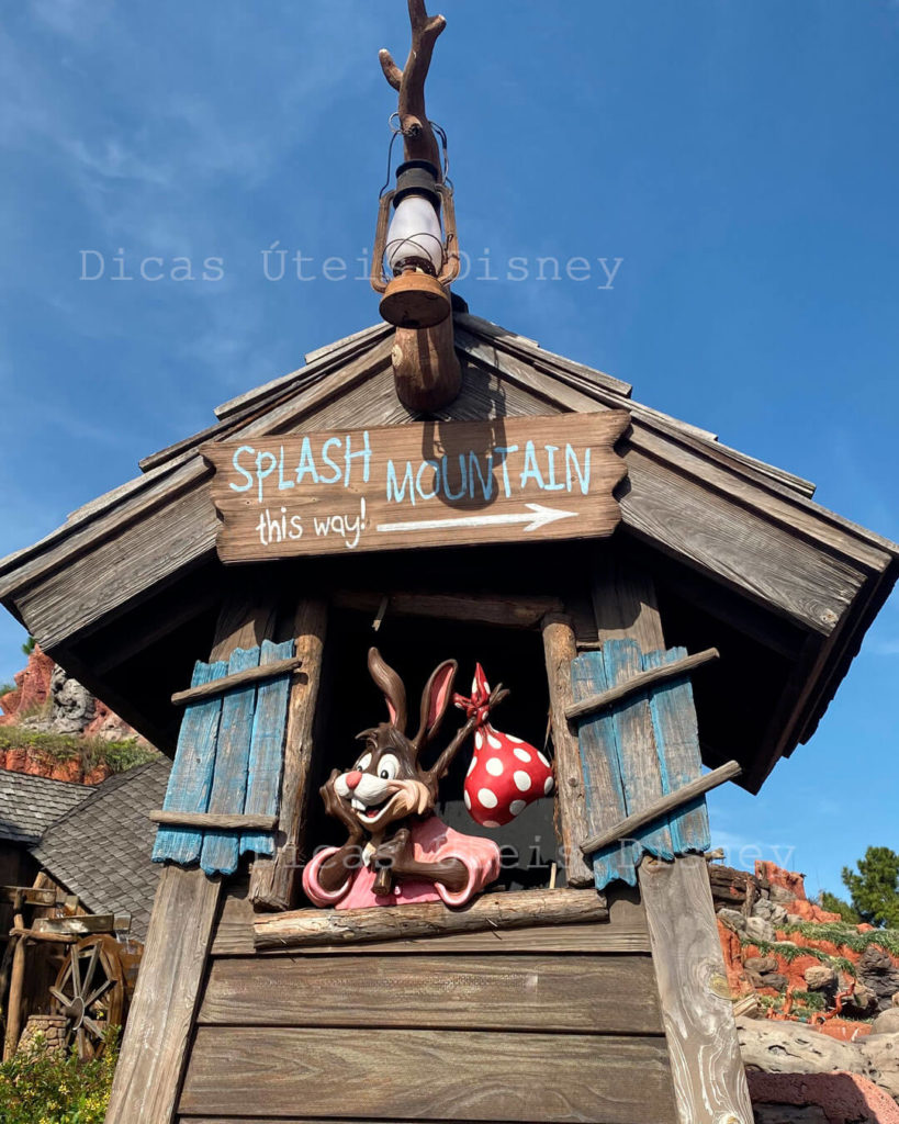 Splash Mountain nova temática princesa e o sapo atracao