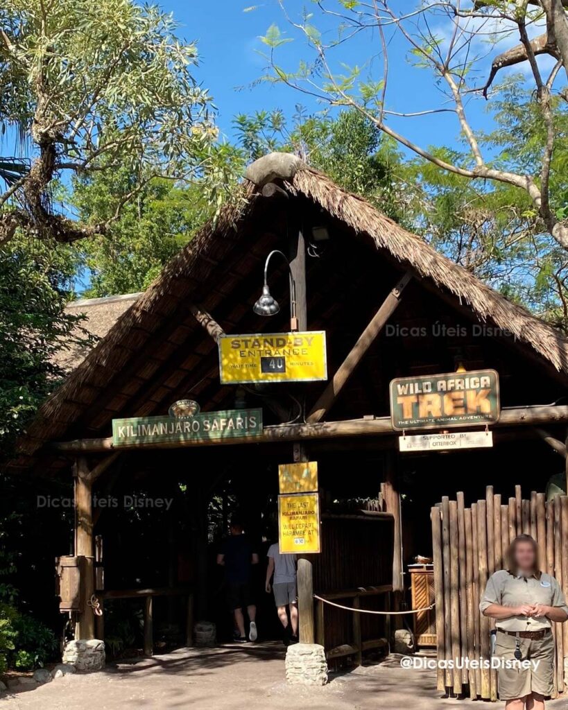 como-e-area-afria-animal-kingdom-atracao-kilimanjaro-safari-dicas-uteis-disney
