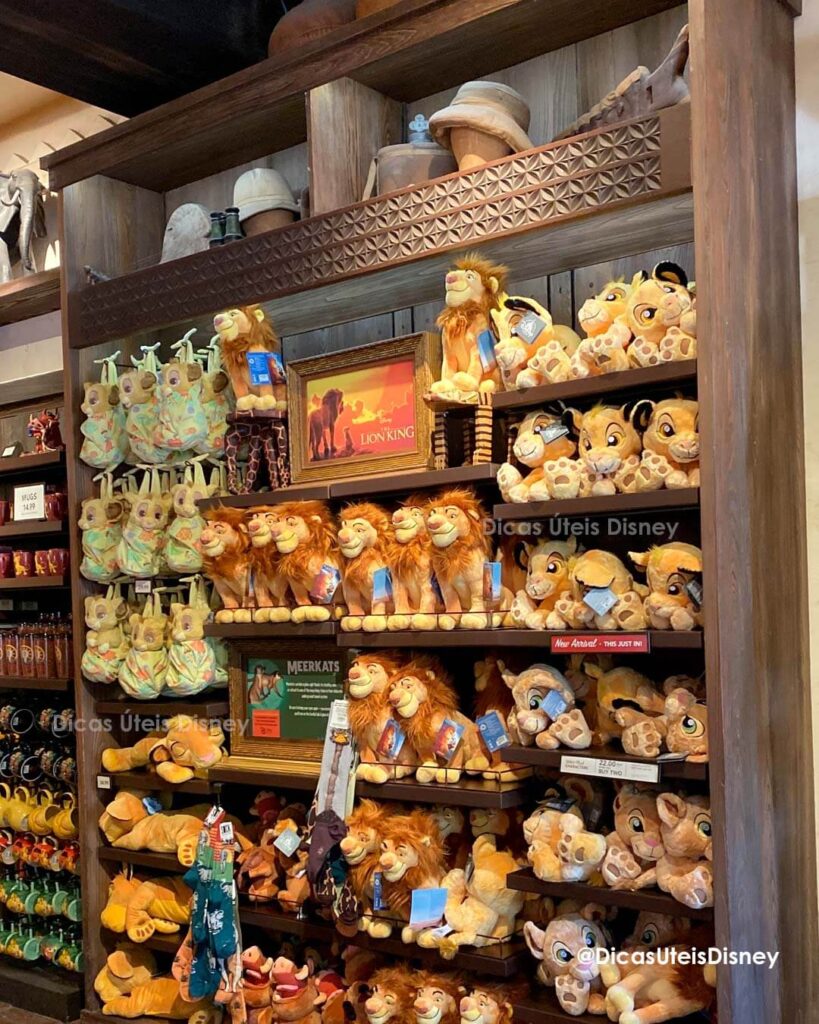 como-e-area-afria-animal-kingdom-loja-rei-leao-dicas-uteis-disney