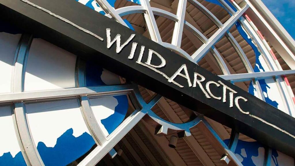 Como-e-area-ice-breaker-seaworld-atracao-wild-artic-dicas-uteis-disney