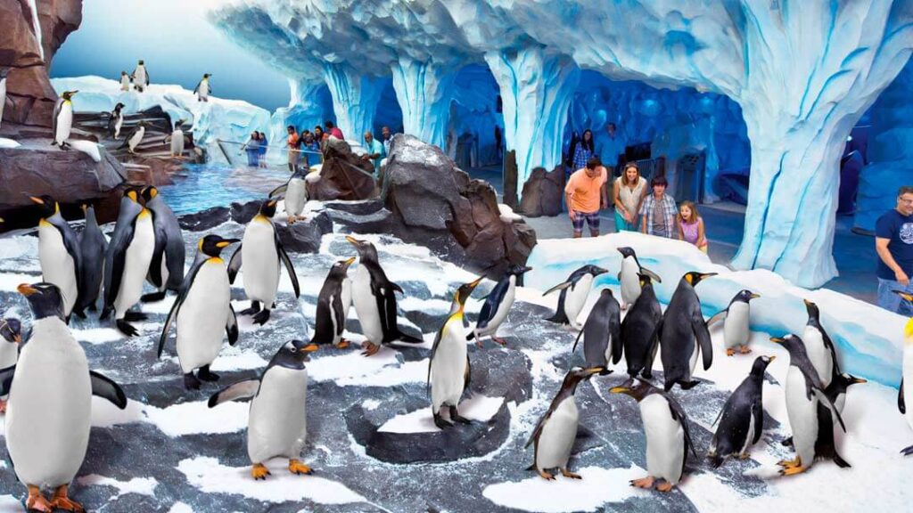 como-e-area-antarctica-empire-of-the-penguin-4-dicas-uteis-disney