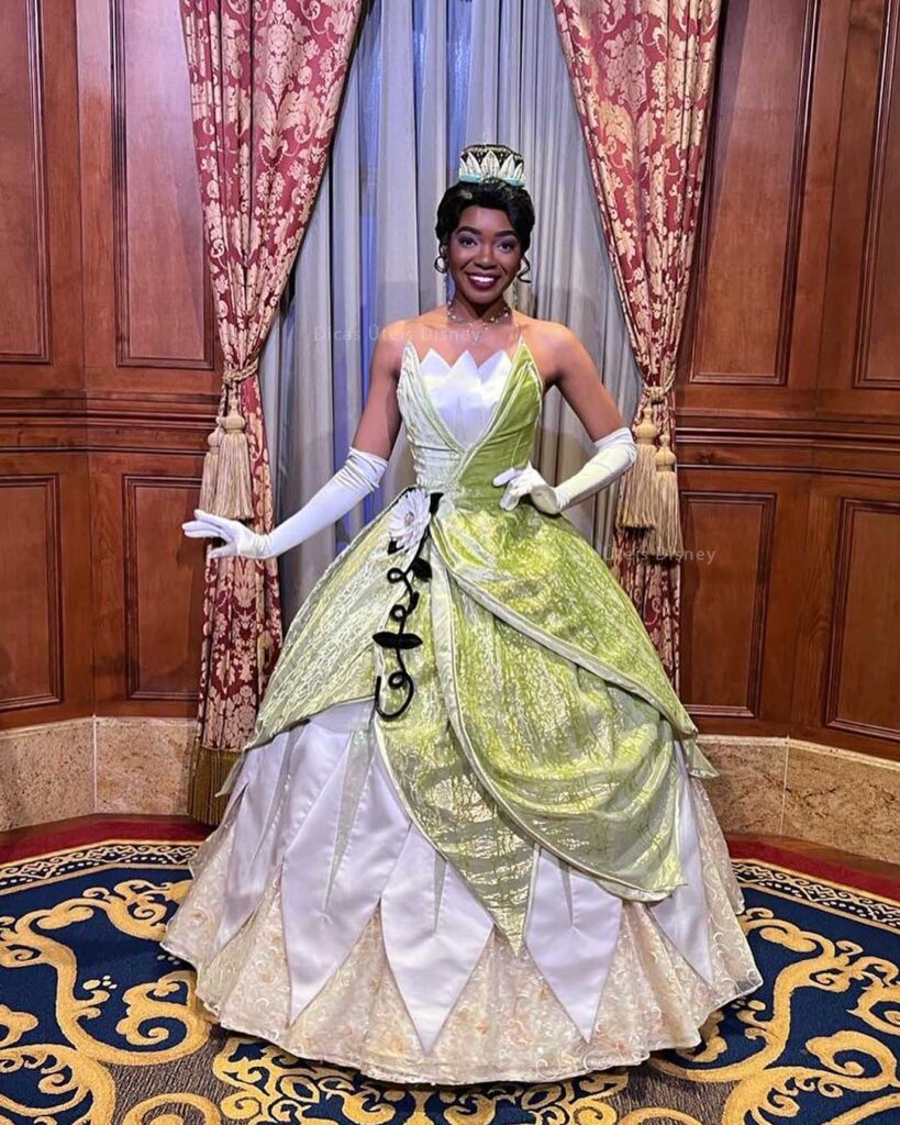 Encontro-personagens-Disney-tiana-dicas-uteis-disney